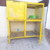 پرنده، عروس هلندی، مرغ مینا سهره خاکی