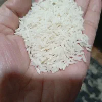 برنج هاشمی ۲۸۰