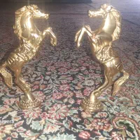 اسب جنس برنج با وزن سنگین