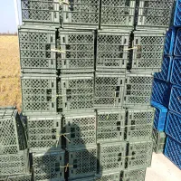 سبد پرتقال ونارنگی