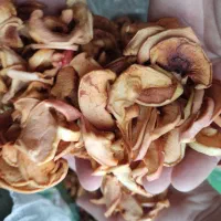 برگه سیب|خوردنی و آشامیدنی|شیراز, شهرک والفجر|دیوار