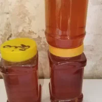 عسل کوههای گرین لرستان با گیاه گون