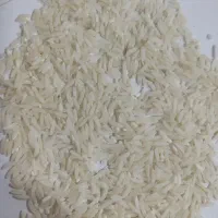 برنج طارم شمال