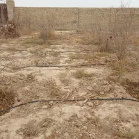 فروش یک قطعه باغ انار سند دار اول شهر|فروش زمین و ملک کلنگی|جوادآباد, |دیوار