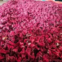 چای ترش عمده
