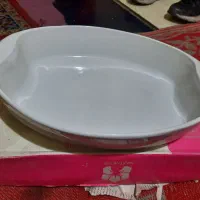 مرغ خوری سفید