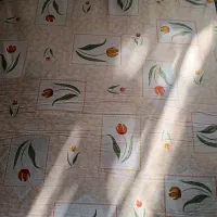 ۵ عدد تشک|رختخواب، بالش، پتو|کرج, حسین آباد (اکبر آباد)|دیوار