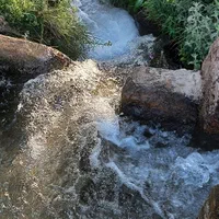 باغ انگور خسبیجان (مرکزی)|فروش دفتر صنعتی، کشاورزی، تجاری|زالیان, |دیوار