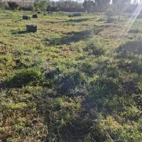 علوفه بسته بندی