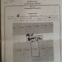 زمین جوانی جمعیت