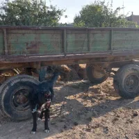 سم پاشی وتریلی وادوات|خودرو سنگین|فرمهین, |دیوار