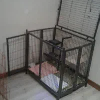 قفس بزرگ سگ