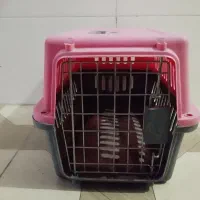 باکس سگ و گربه نو