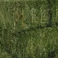 پرس یونجه شاهی