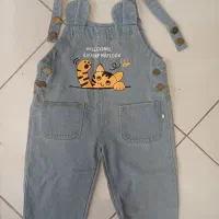 بیلرجین وسیوشرت