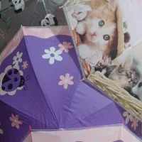 چتربچگانه دست اول