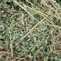 یونجه انباری