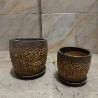 گلدان|گل و گیاه طبیعی|کرج, خرمدشت|دیوار