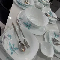 ظرف پذیرایی