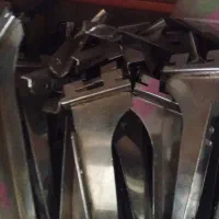 رگال