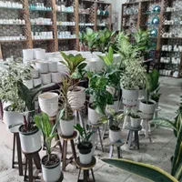 استند  و پایه برای گلدان گل طبیعی