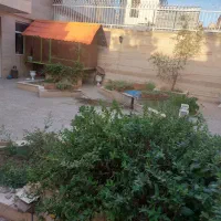 اجاره واحد طبقه همکف در شهرک فرهیختگان دانشگاه|اجارهٔ آپارتمان|بیرجند, |دیوار