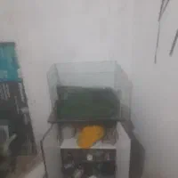 آکواریوم شیشه خم شرکتی ماهیران