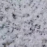 راهنمایی کنید