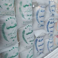 برنج هاشمی و صدری خزر و طارم محلی «کالابرگ»