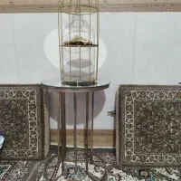 قفس بامیز|صنایع دستی و سایر لوازم تزئینی|قم, نیروگاه|دیوار