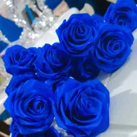 گل روبانی|گل مصنوعی|بندر گناوه, |دیوار