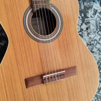 گیتار پارسی m6