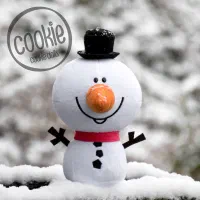 تورپیست فریدونشهر تاریخ 12 دی. 13 دی