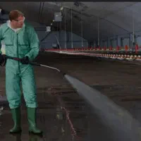 استخدام نیروی پشتیبانی در شرکت سپید ماکیان