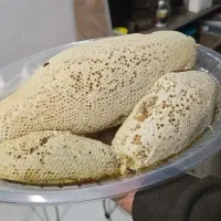 عسل کوهی وحشی درمانی و تضمینی