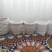 گل و گیاه و گلدان سرامیکی و پلاستیکی تصویر چک کنید