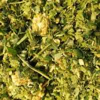 ذرت علوفه ای بسته بندی شده دان دار