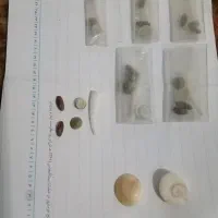 مهره اصل.آزمایش پیش مشتری