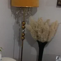 آباژور با ارتفاع زیاد و شید بزرگ