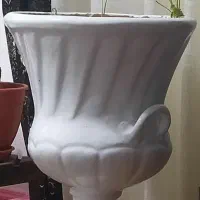 گلدان سفالی|گل و گیاه طبیعی|رشت, کوی طالقانی|دیوار