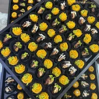 آموزشگاه شیرینی پزی کارامل