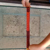 اکواریوم|ماهی|ساوه, |دیوار