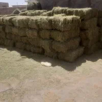 پرس شبدر،یونجه