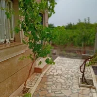 باغ،زمین،ویلا