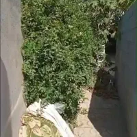 ویلایی-دربست-بزرگ-معاوضه-هم-دارم