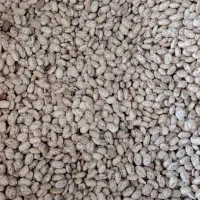 لوبیا چیتی ارتشی خرم آباد|خوردنی و آشامیدنی|شیراز, فرهنگ شهر|دیوار