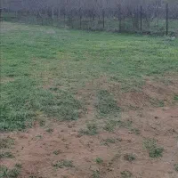 زمین مسکونی در گیلاوند،کوچه نیایش*