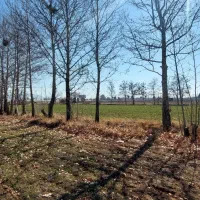 ۳۰ هزار متر زمین بر اتوبان قزوین به کرج سند تک برگ