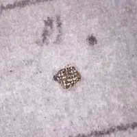 پالاز موکت|موکت|آبادان, |دیوار