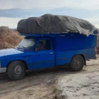 خرید و جمع آوری کود فضله کبوتر وحشی شیروانی سوله